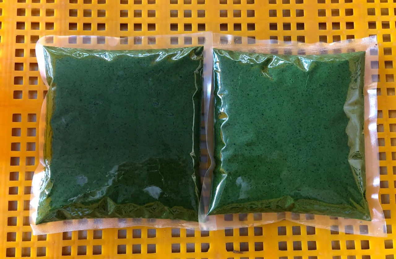 GOOD PRICE FROZEN CASSAVA LEAVES/ GROUND CASSAVA LEAVES FROZEN/ Alice ( +84 904 183 651)