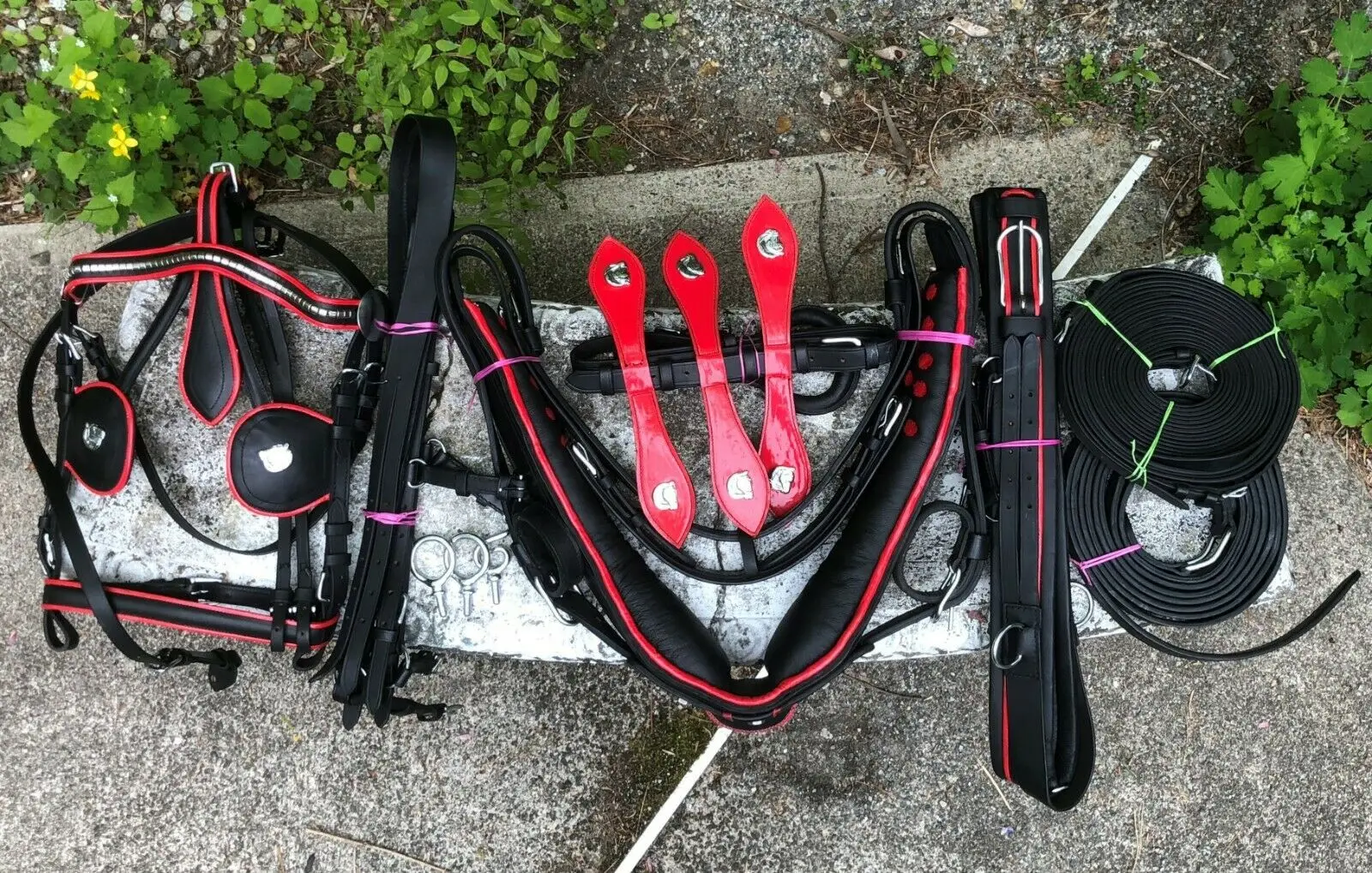 HORSE driving harness