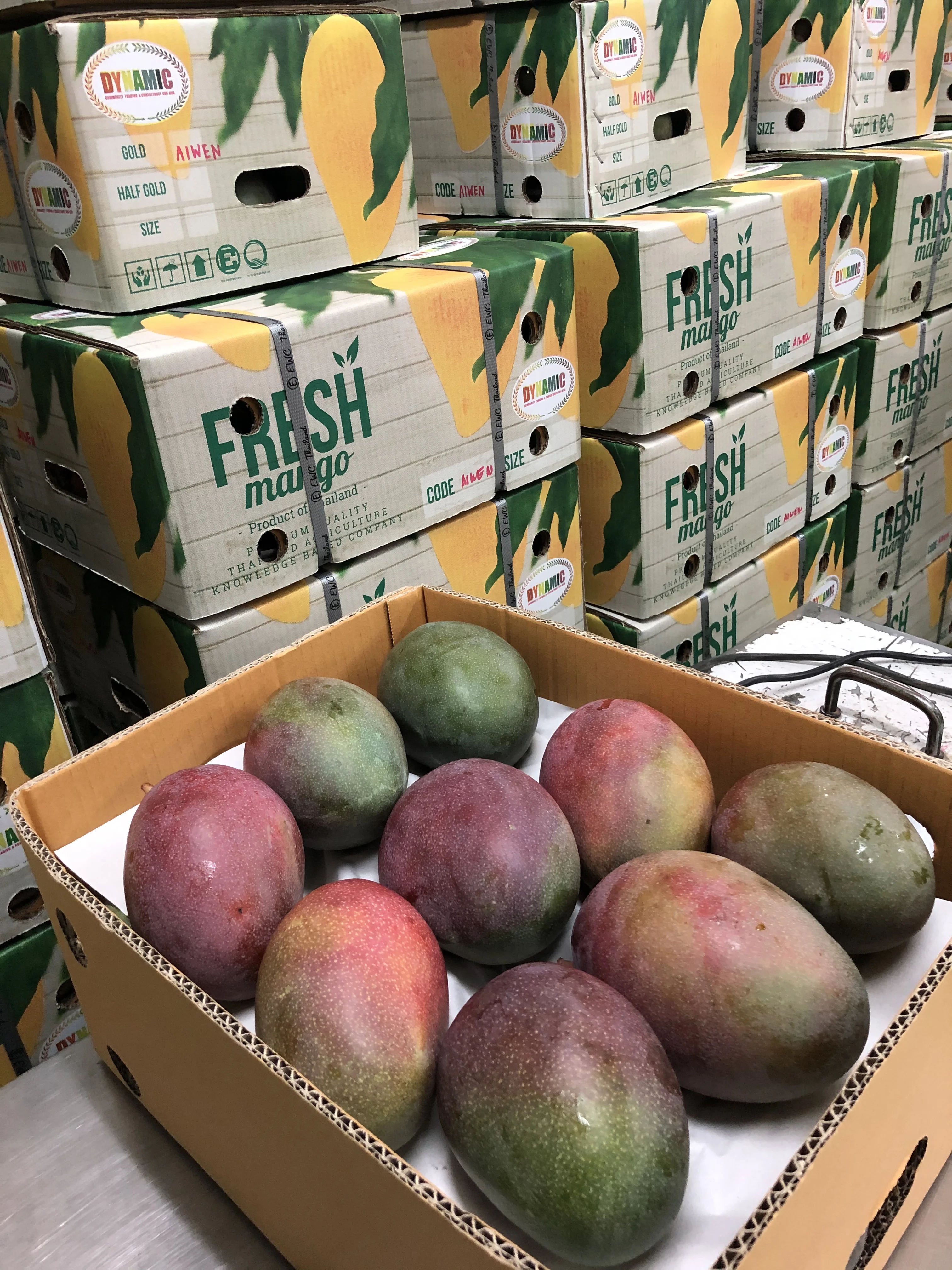 
EWC Fruit Exporter Big Fruit, Raw And Crunchy Taste Fresh Mangoes Uwen UMG005 With Dark Purple 