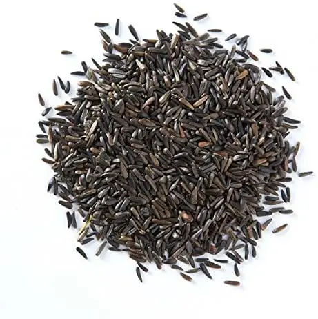 Bird Feed Niger Seed From India