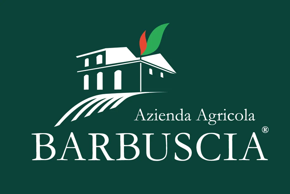 
Peasant style small artichokes - Made in Italy - Gourmet gift idea - Gluten Free - Vegan food - Azienda Agricola Barbuscia 