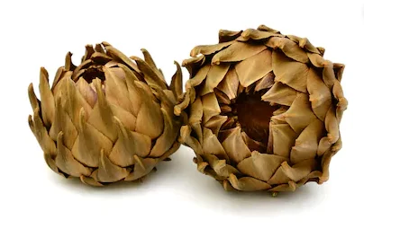 HIGH QUALITY DRIED ARTICHOKE FLOWER WITH GOOD PRICE / WHATSAPP 84 845 639 639 Ms.Holiday