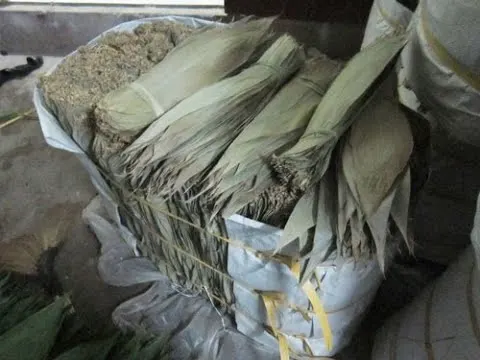 Top Quality in Vietnam - DRIED BAMBOO LEAF 99 Gold Data