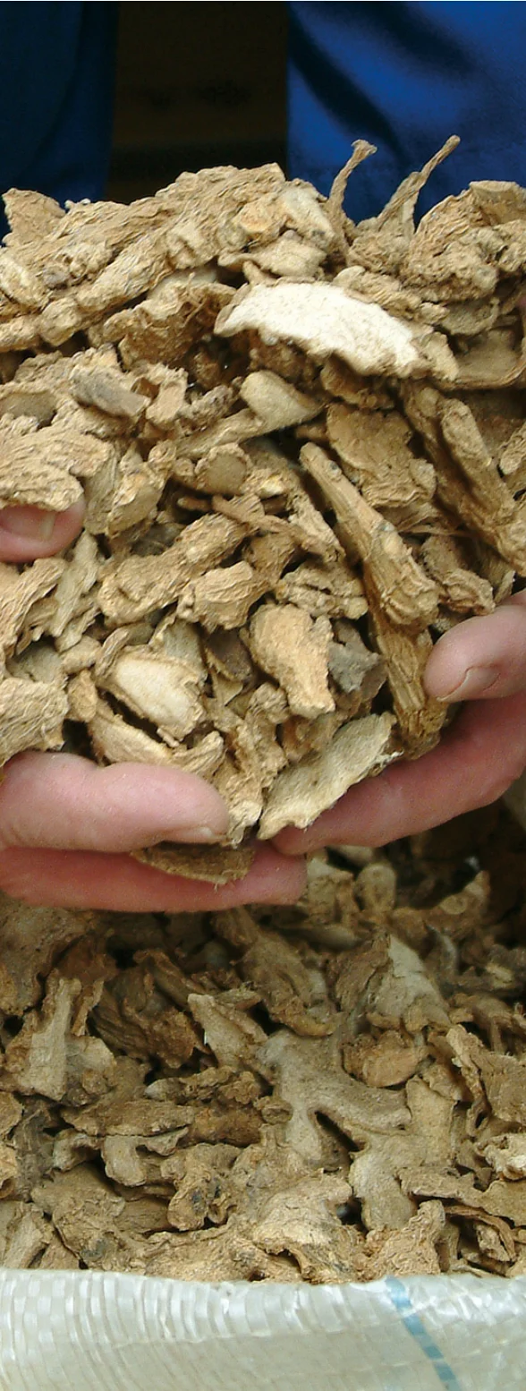 (Organic) Ginger Powder (1,000 gram) Thai Herbal Extract - Wholesale - custom size package & design (Product of Thailand)