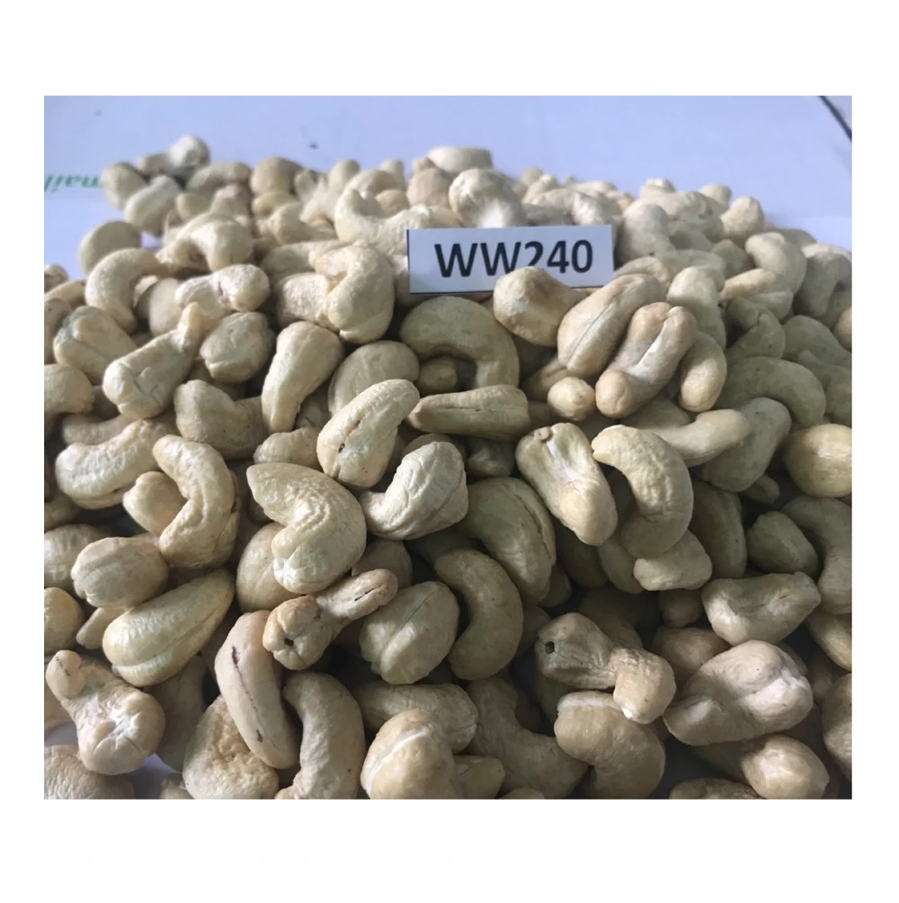100% natural no additives nuts kernels dried cashew on sale W180 W210 W240 W320 W450 WS LP