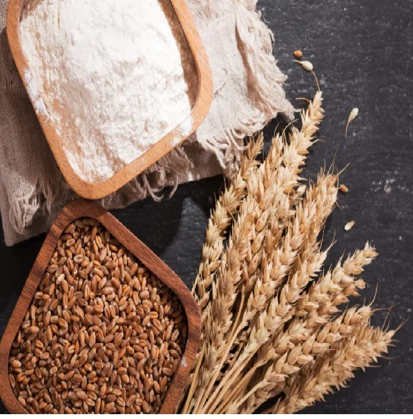 Зерновая пшеница, поставка оптом из пенджаба, Индия