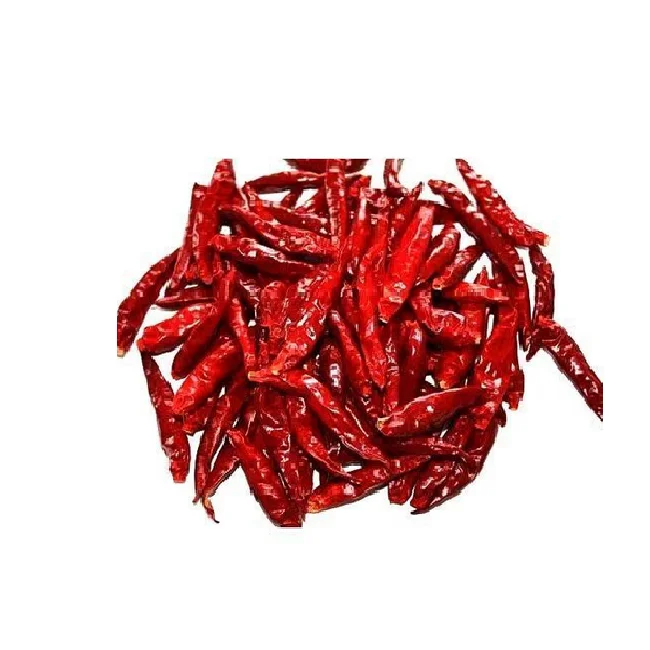 Best Selling Organic Dry Red Whole Chilli Produced in India Agricultural Farm Wholesale Price By India Exporters