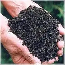 Оптовая поставка высококачественного торфяного Моха из Вьетнама Ms Sophie + 84 901 022 641