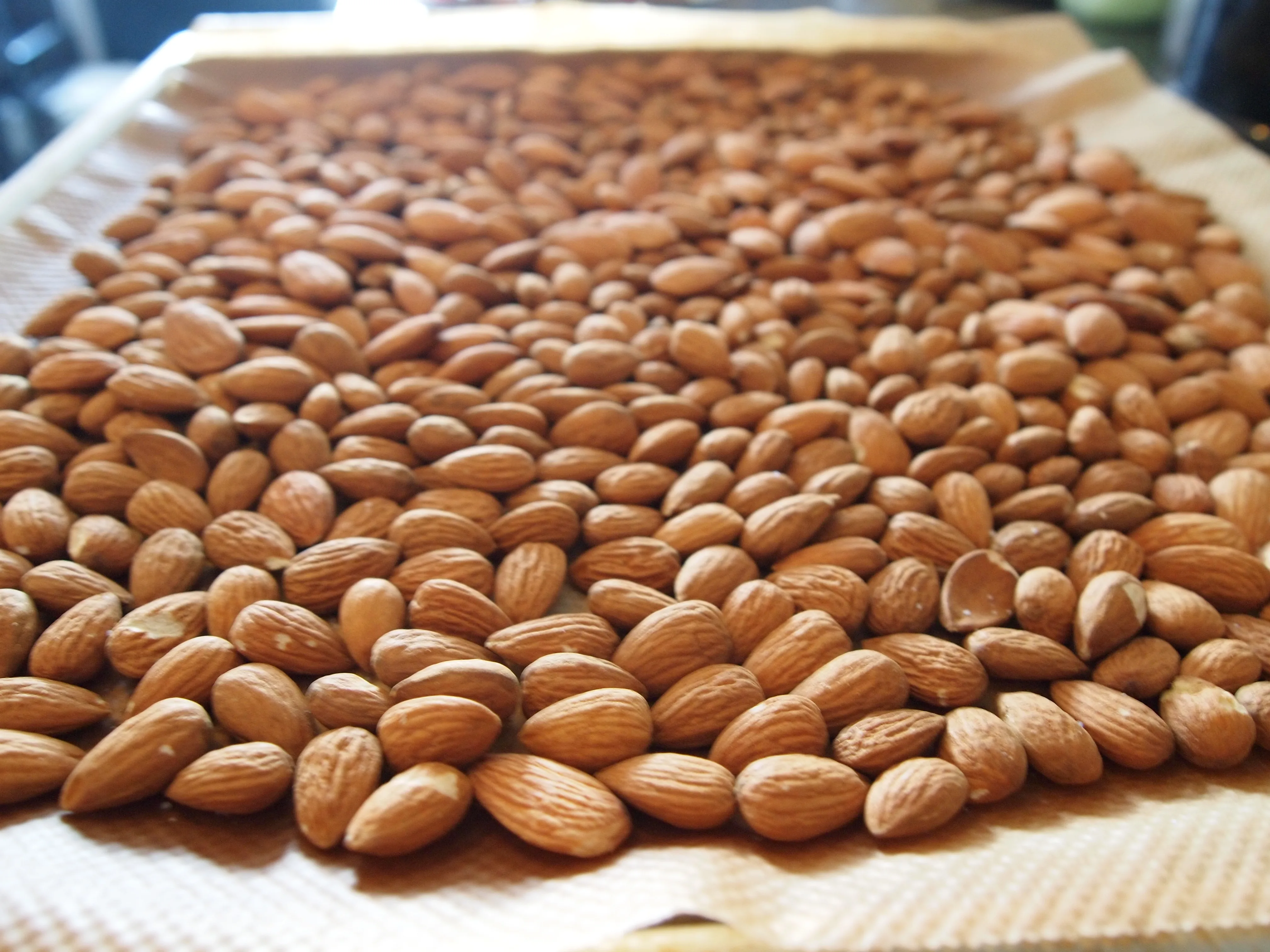 
ORGANIC RAW ALMONDS PASTEURIZED ALMENDRAS 