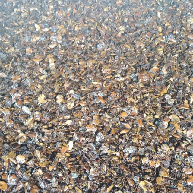 Лучшая цена, извлеченная оболочка ореха кешью