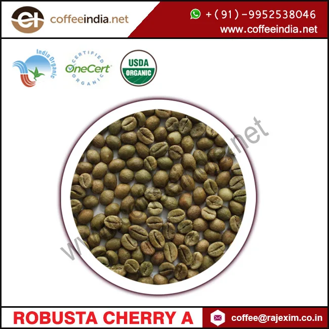 
Indian Robusta AA Coffee Bean 