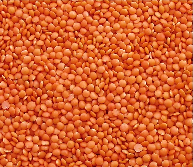 Wholesale Best Quality Lentils For Sale In Cheap Price