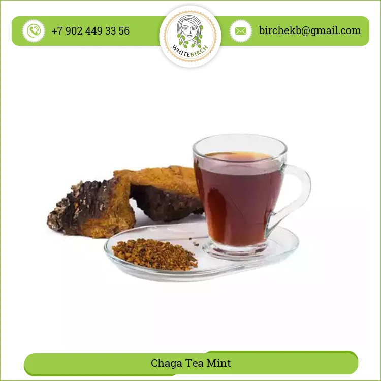 Огромный антиоксидант Chaga Tea Mint от лучшего поставщика