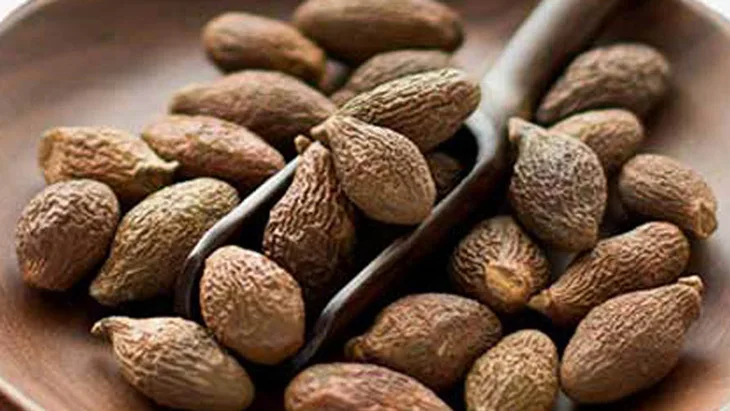 MALVA NUT FROM VIETNAM/ BEST PRICE AND HIGH QUALITY/  GOOD FOR HEALTH (WA: MS.LAURA +84 91 850 9071 )