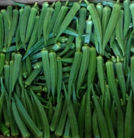Fresh vegetables brands whole zero iqf fresh frozen baby okra for export