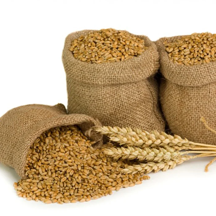 Best Price Wheat Flour With High Quality