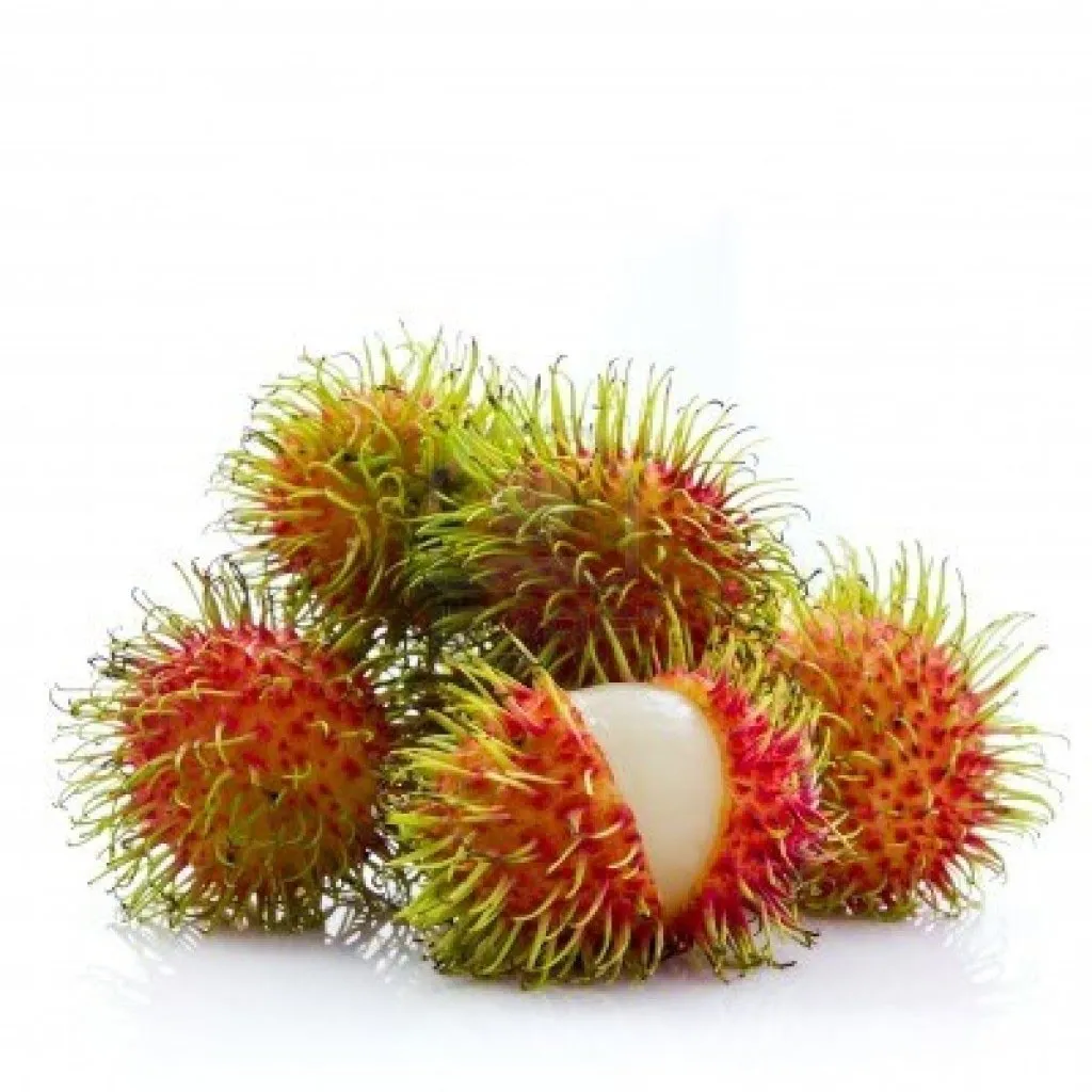 Best seller Fresh Rambutan Premium grade from Thailand by SP Organic International