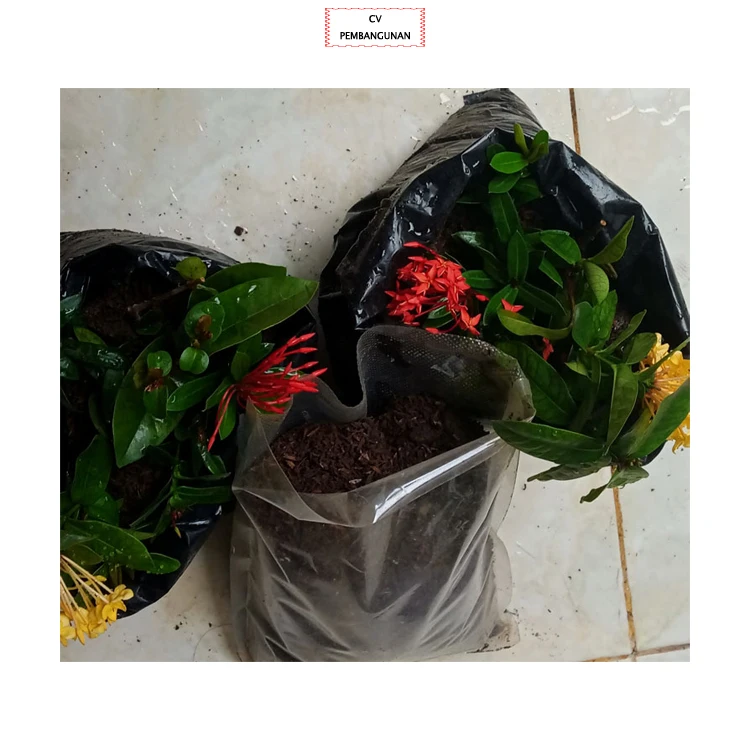 Top Selling High Quality CAS No 2021-06-08 Garden Soil Fertilizer Granular for Wholesale Purchasers