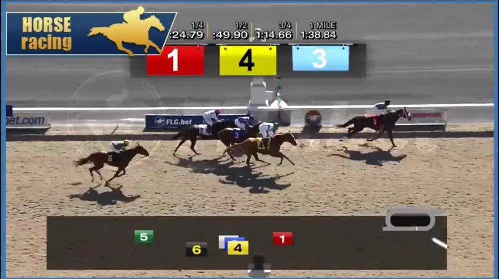 
Dogs and Horse Racing for betting shop 