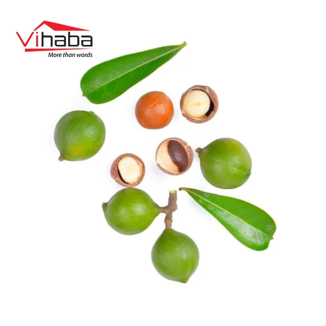  Качественные жареные орехи макадамии обычные macca и закуски из ядра экстракт Маки