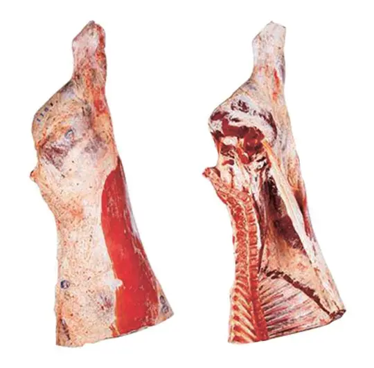 
Frozen Forequreter Buffalo Halal meat 