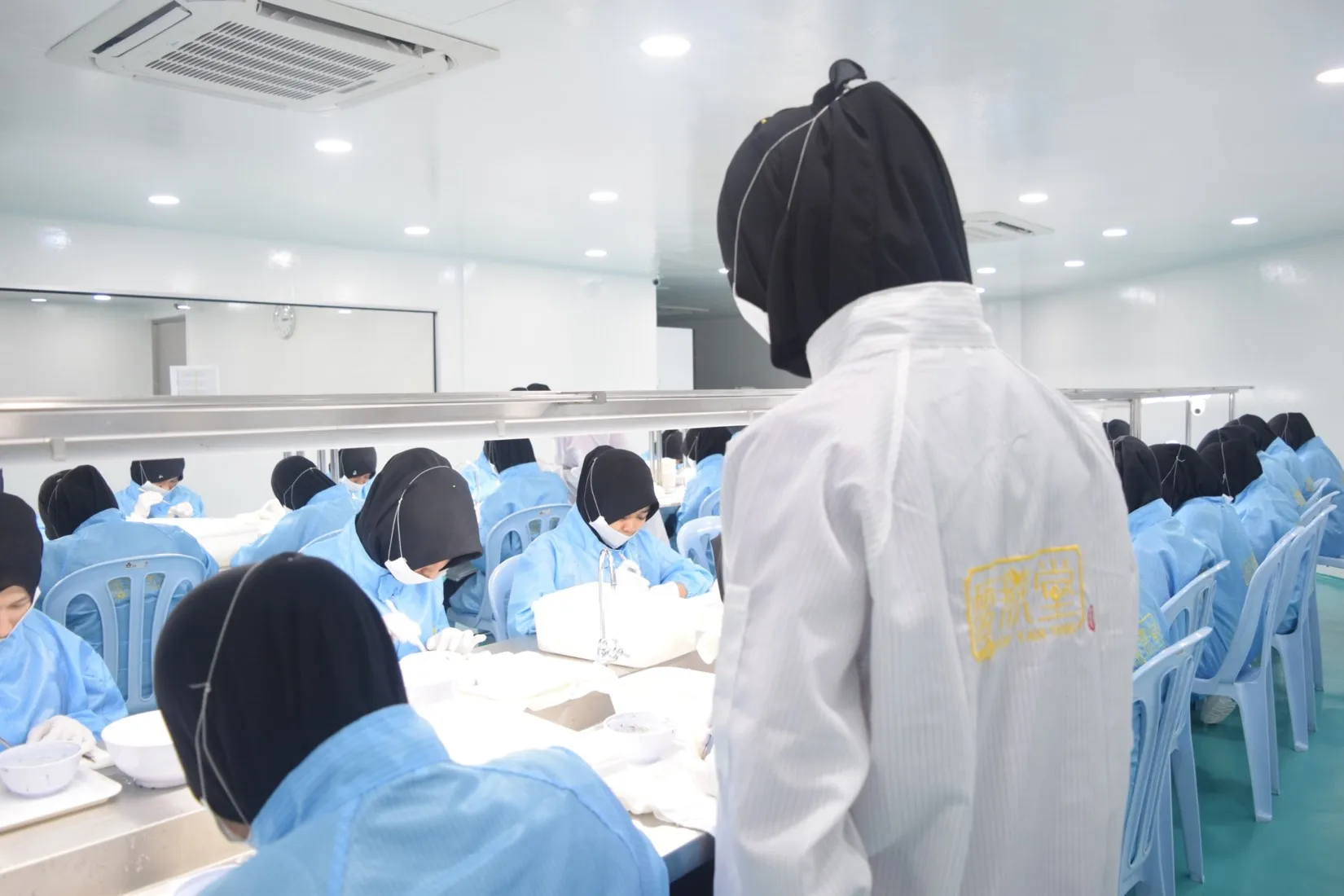  Верхняя Нижняя часть съедобного птичьего гнезда/кубилоза/да Янь Цзяо (гудок)