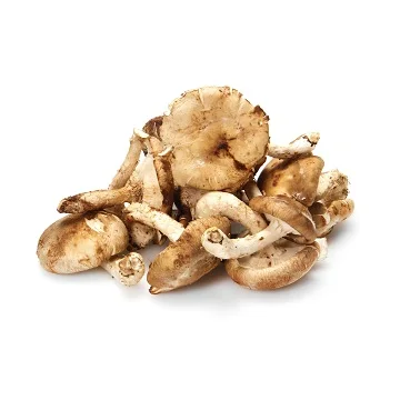
Dry Magic Mushrooms Dried Shiitake Mushroom 