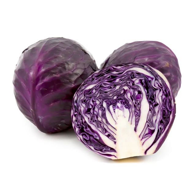 Fresh Red cabbage Wholesale from Vietnam with high quality and cheap price, 100% from natural