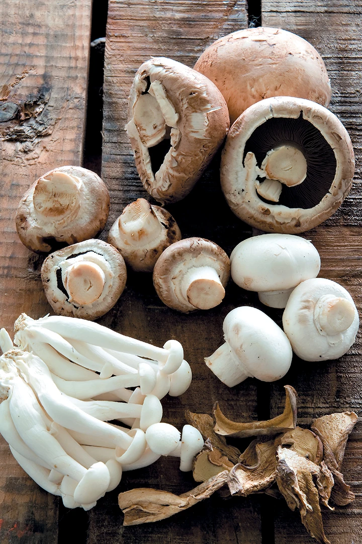 
Quality Dried boletus edulis,Boletus edulis Mushroom Mycelium 