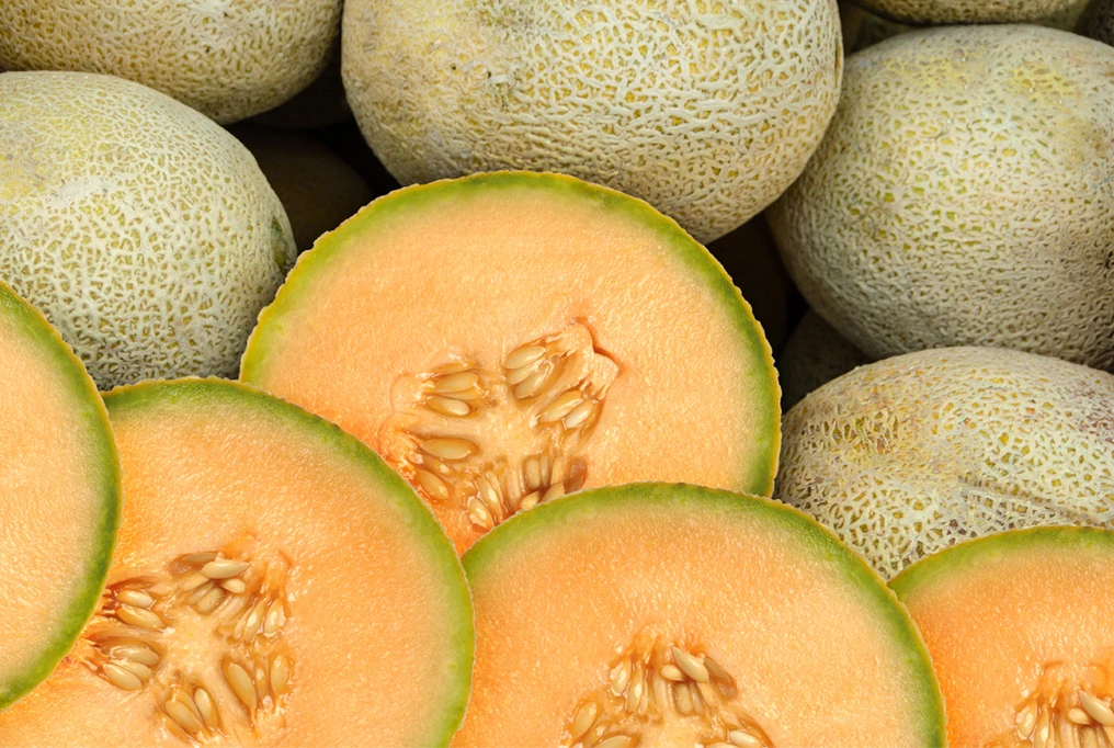 Оптовые экспортные стандартные вьетнамские свежие дыни/Сладкая Мускусная дыня для продажи мисс Кэти