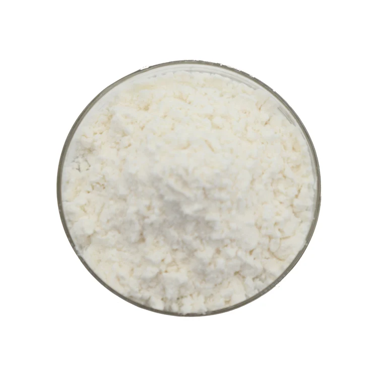 Premium Quality Full Cream Milk Powder / Skimmed Milk Powder for sale