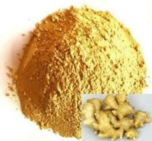 Высококачественный экстракт имбиря Zingiber Officinale