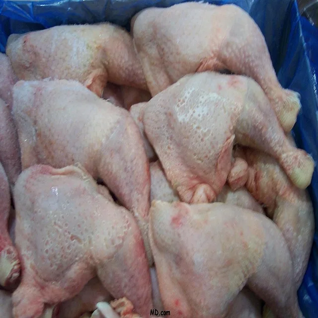 Chicken Quarter Legs and Whole Halal Frozen Chicken for Exports