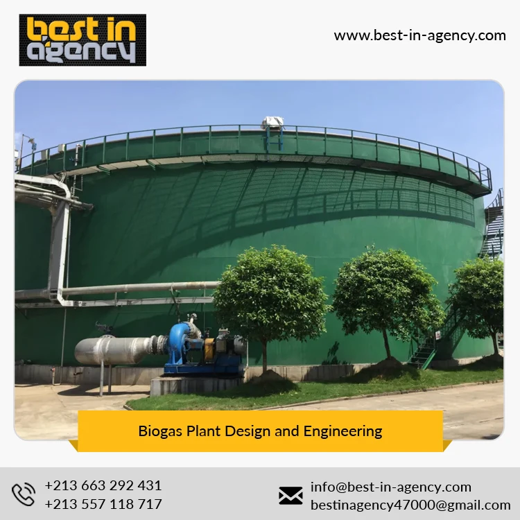 
Biogas Plant Design and Engineering 20000 Nm3/Day Production Capacity for Food Waste/Animal Waste 