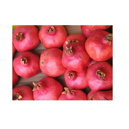 
Best Quality Fresh Pomegranate Fruit 