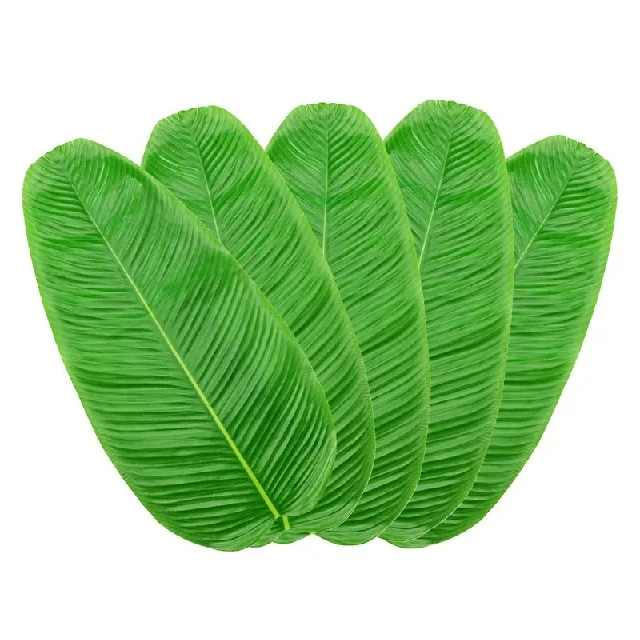 High Quality Natural Fresh Banana Leaves From India With Special Price And Used For Cooking