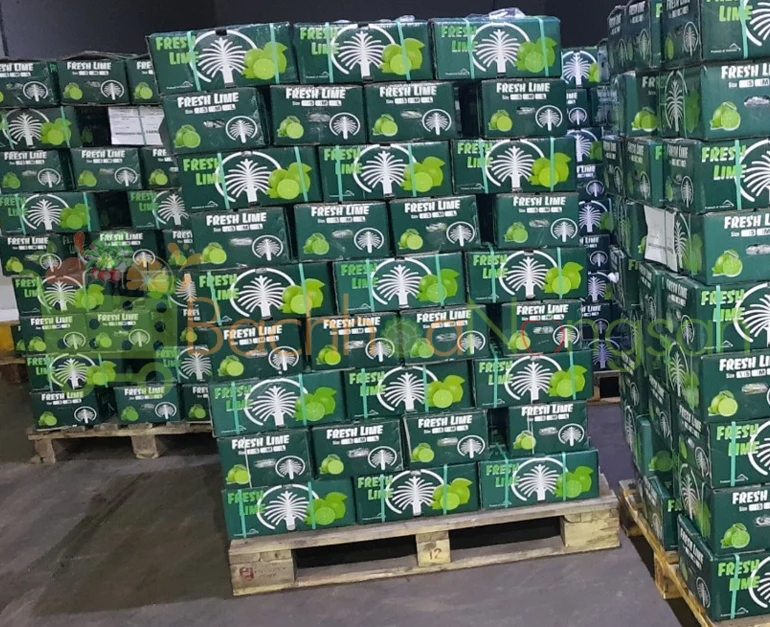 VIETNAM FRESH SEEDLESS LIME GREAT QUALITY FOR BUYER WHATSAPP WECHAT VIBER 0084326572671