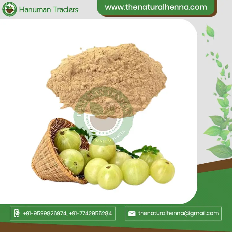 100% Natural Indian Gooseberry Amla Powder For Hair Growth Buy From Trusted Supplier from India