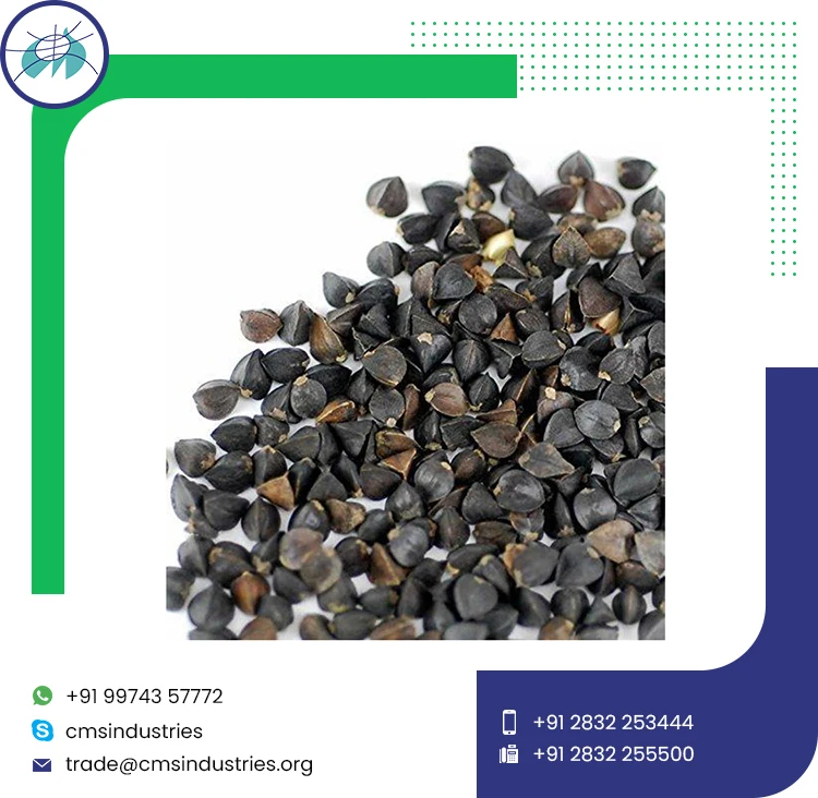  Очищенные Семена Гречихи