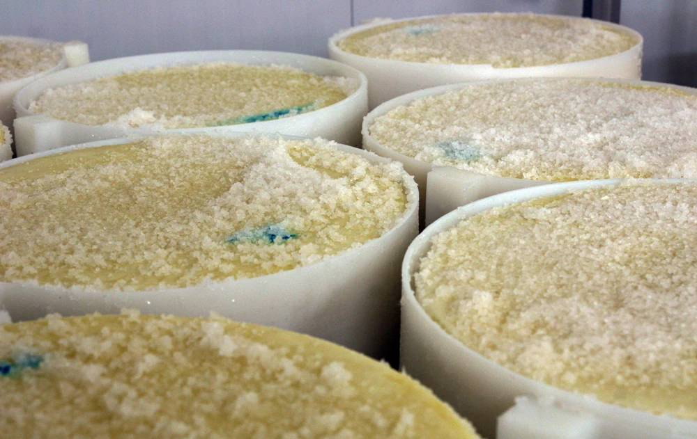 Pecorino Romano- Italian Hard pecorino cheese - PDO cheese