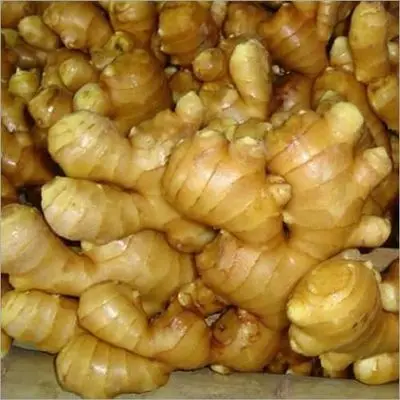 Ginger for Export / Fast delivery and Quick response