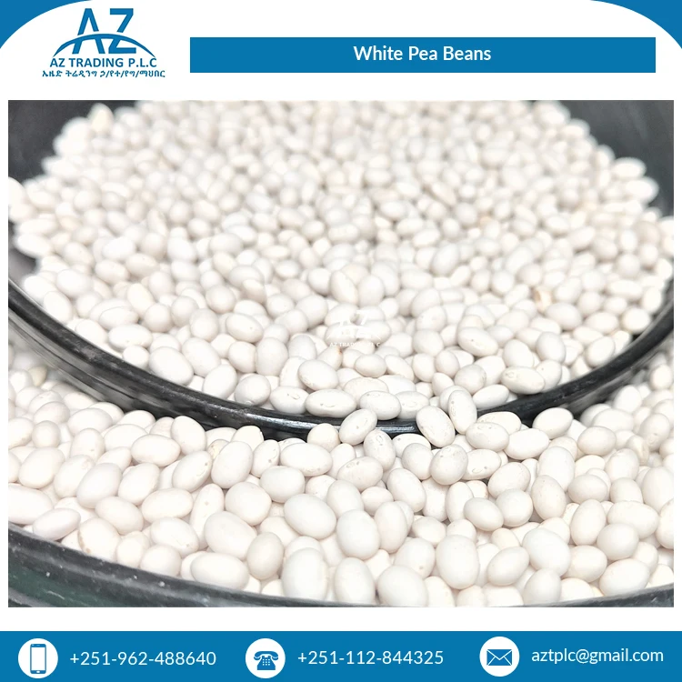 Bulk Supplier of Premium Grade Uniform Bright White Organic White Pea Beans/ Ethiopian Kidney Beans