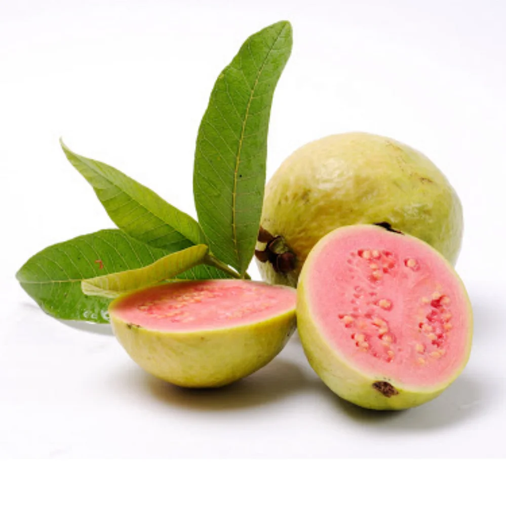
Fresh guava high quality pink guava Newest 2020 