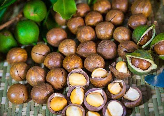 Лучшая цена жареная макадамия богатая питательными орехами макадамии/Hana + 84 901 006 904