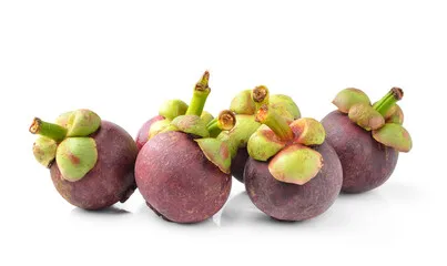 Tropical Fruits Very Sweet and Fresh Taste Mangosteen With Dark Purple or Red Color skin Organic Cultivation