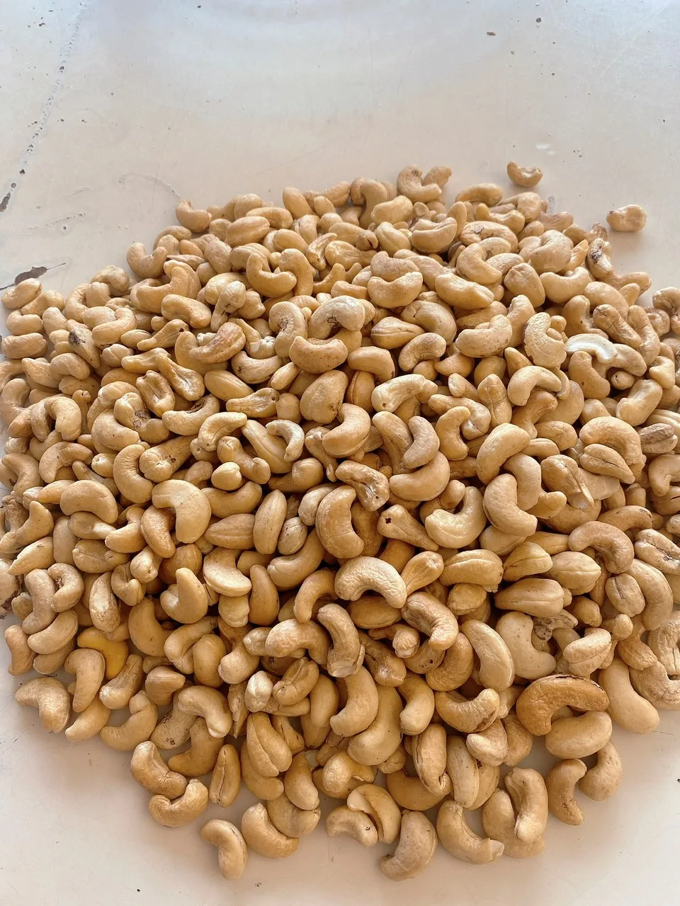 Hot Selling best price Raw  Cashew Nuts W180 W240 W320 W450 WW320 Dried Cashew from Vietnam
