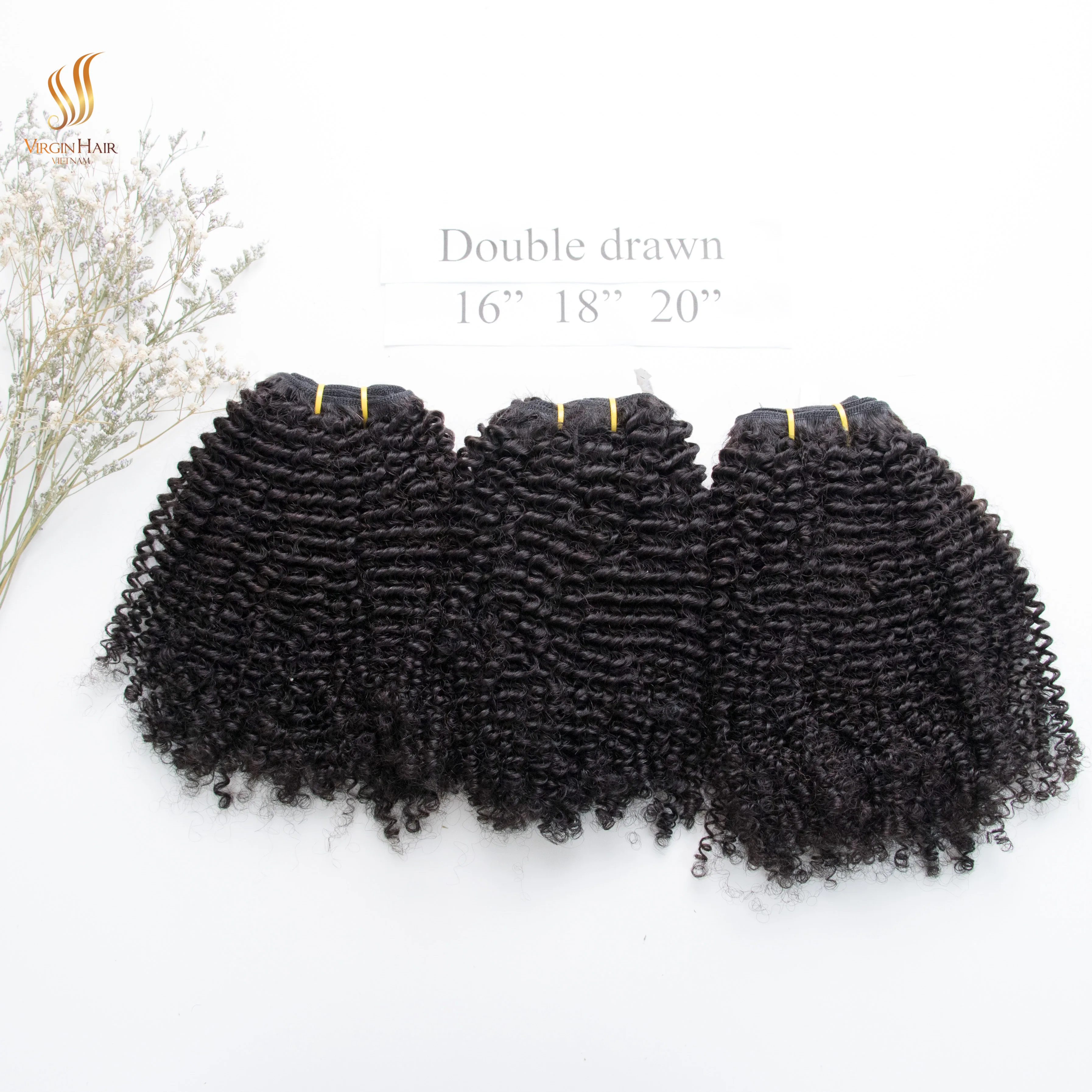 Hot Sale KINKY CURLY All Virgin Human Hair Wholesale Price High Quality From Vietnam