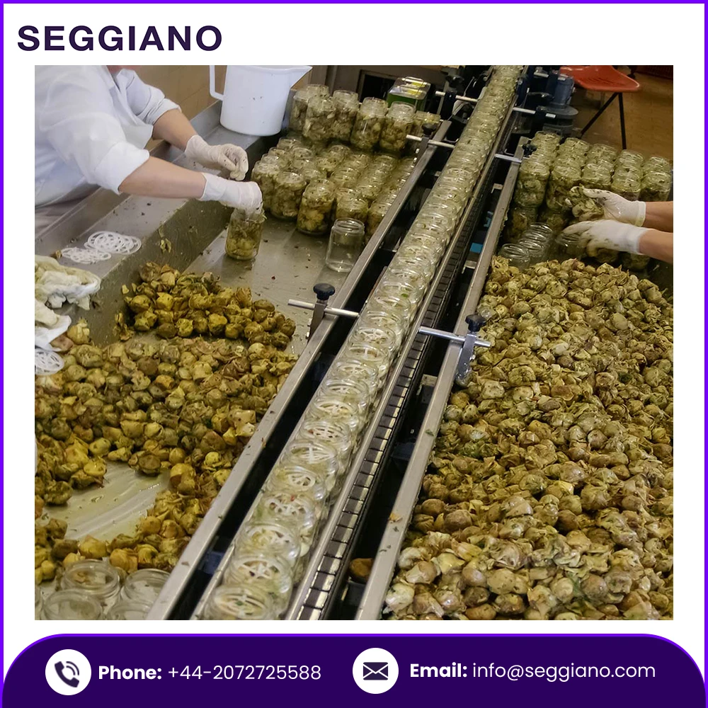 Свежие овощи Seggiano, сицилийские сердца артишока, поставка 290 г