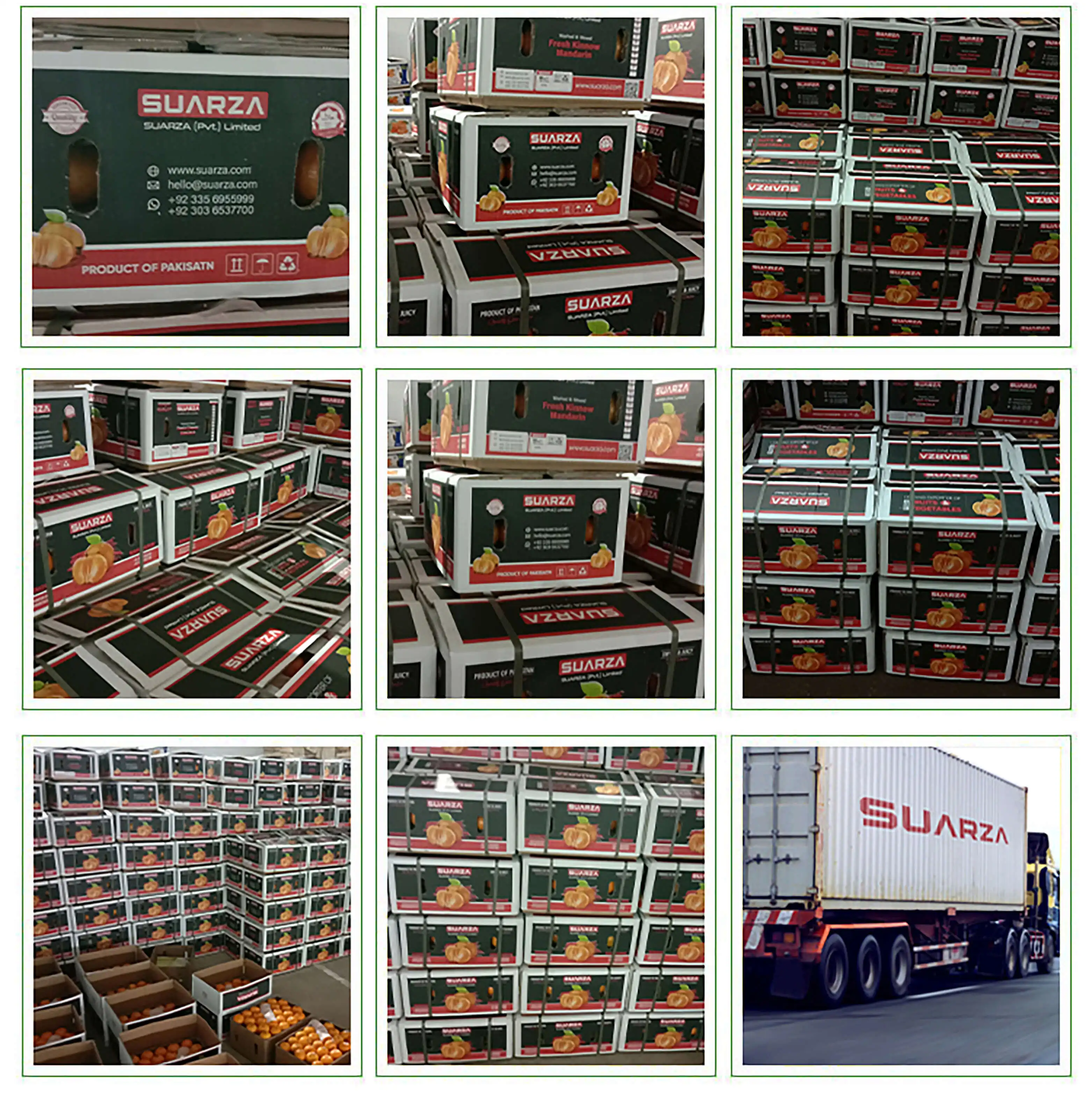 KINNOW 3 (2) (2).jpg