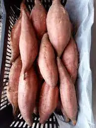 Сладкий картофель-A1 превосходного качества